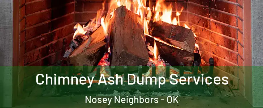 Chimney Ash Dump Services Nosey Neighbors - OK
