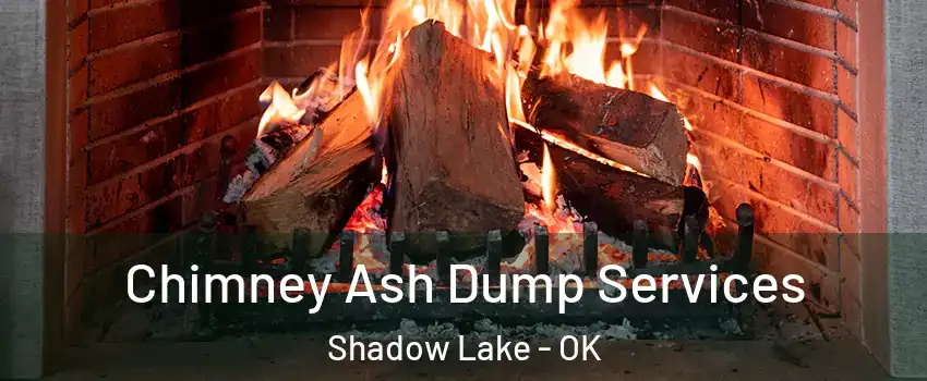 Chimney Ash Dump Services Shadow Lake - OK