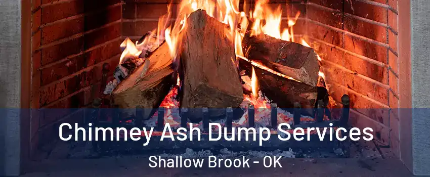Chimney Ash Dump Services Shallow Brook - OK