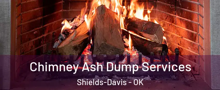 Chimney Ash Dump Services Shields-Davis - OK