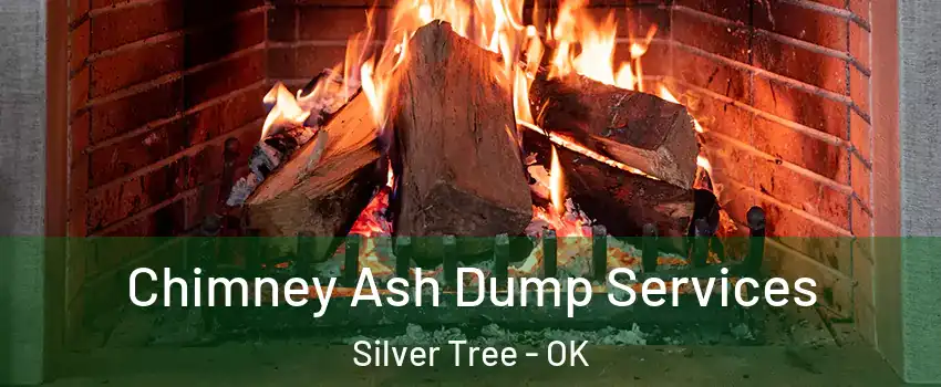 Chimney Ash Dump Services Silver Tree - OK