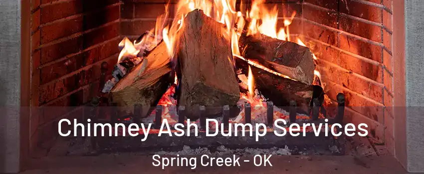 Chimney Ash Dump Services Spring Creek - OK