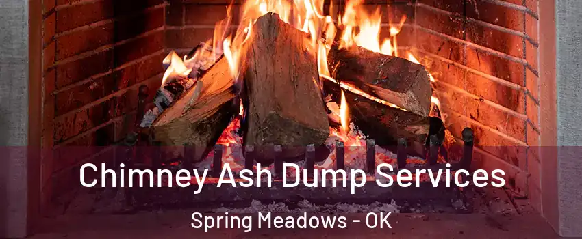 Chimney Ash Dump Services Spring Meadows - OK