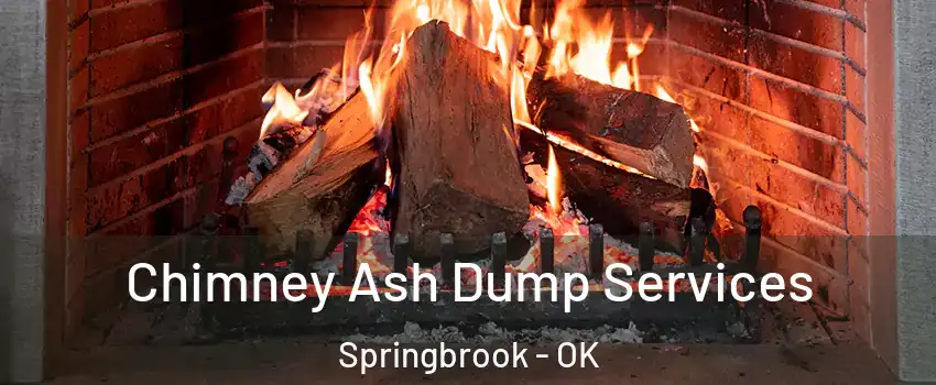 Chimney Ash Dump Services Springbrook - OK
