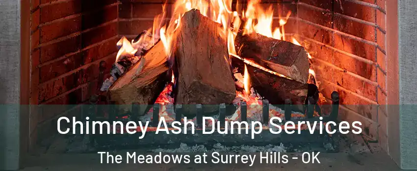 Chimney Ash Dump Services The Meadows at Surrey Hills - OK