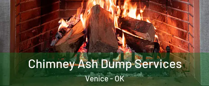 Chimney Ash Dump Services Venice - OK
