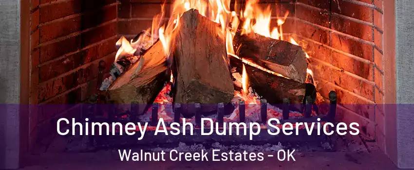 Chimney Ash Dump Services Walnut Creek Estates - OK