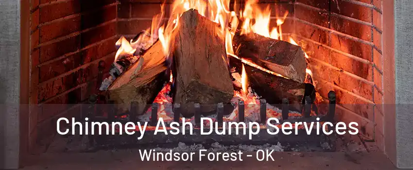 Chimney Ash Dump Services Windsor Forest - OK