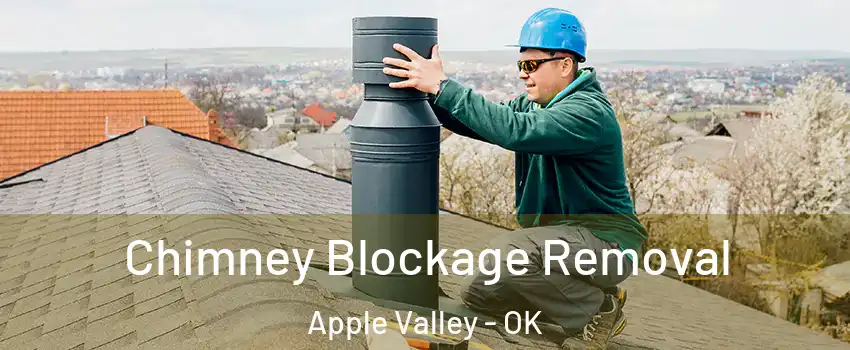 Chimney Blockage Removal Apple Valley - OK
