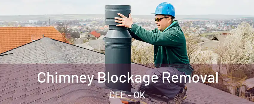 Chimney Blockage Removal CEE - OK