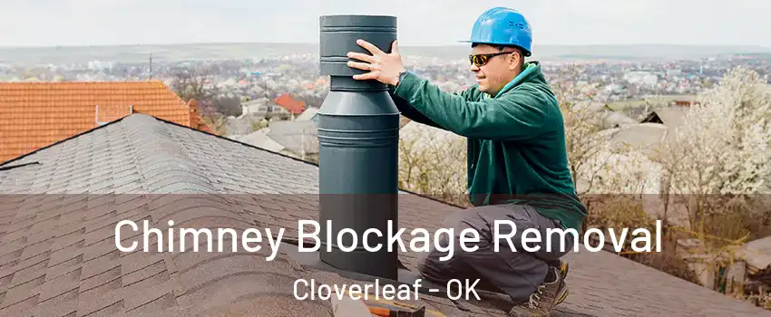 Chimney Blockage Removal Cloverleaf - OK