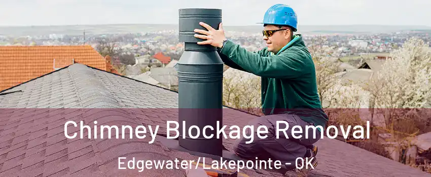 Chimney Blockage Removal Edgewater/Lakepointe - OK