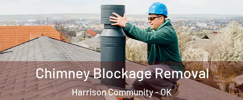 Chimney Blockage Removal Harrison Community - OK