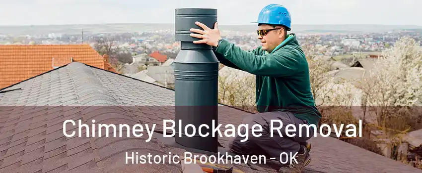 Chimney Blockage Removal Historic Brookhaven - OK