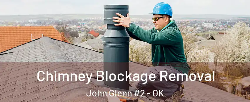 Chimney Blockage Removal John Glenn #2 - OK