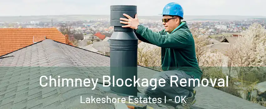 Chimney Blockage Removal Lakeshore Estates I - OK