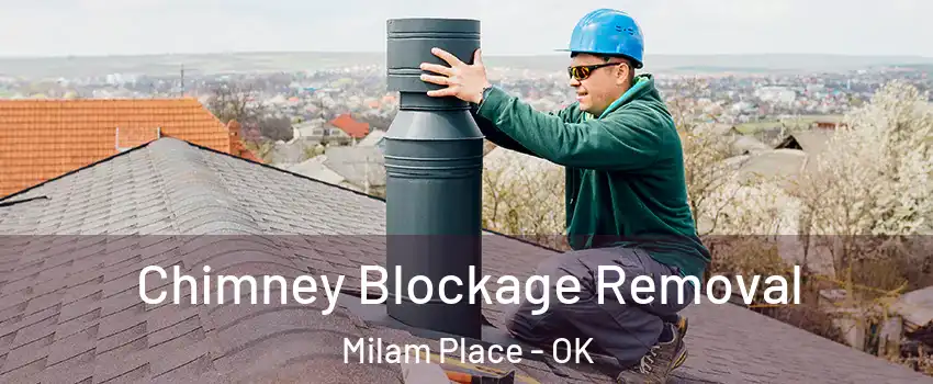 Chimney Blockage Removal Milam Place - OK