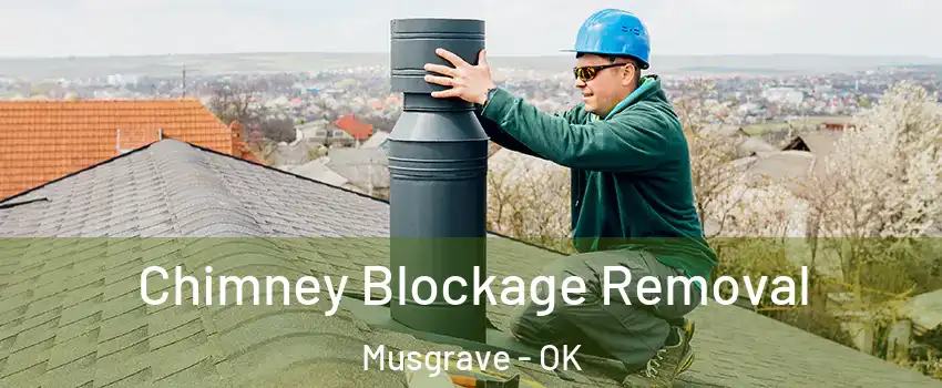 Chimney Blockage Removal Musgrave - OK