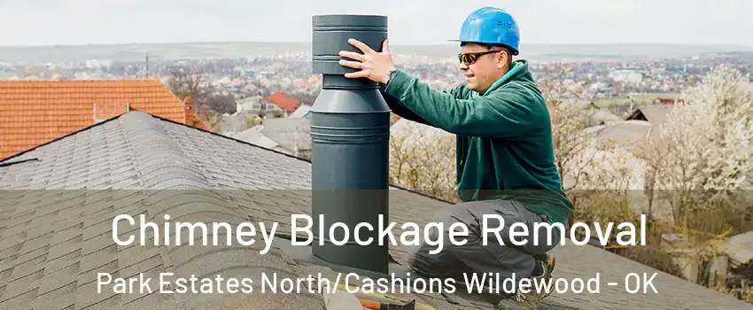 Chimney Blockage Removal Park Estates North/Cashions Wildewood - OK