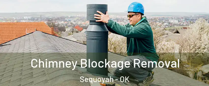 Chimney Blockage Removal Sequoyah - OK