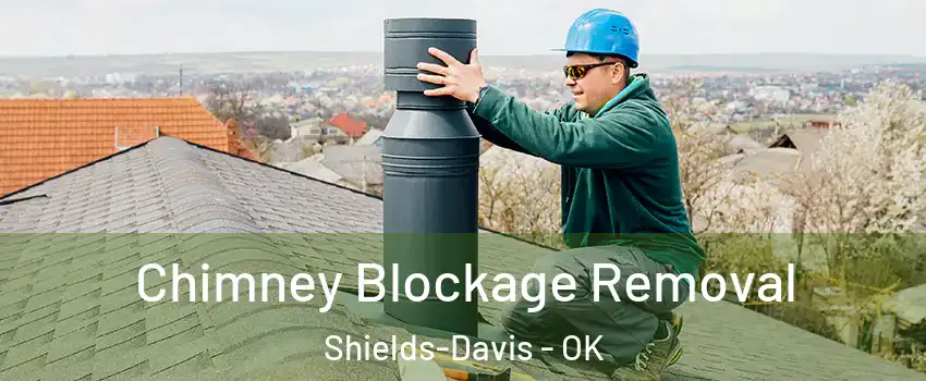 Chimney Blockage Removal Shields-Davis - OK