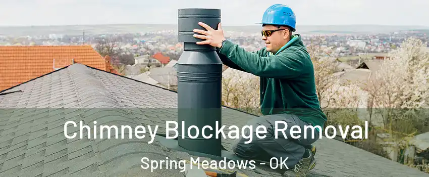 Chimney Blockage Removal Spring Meadows - OK