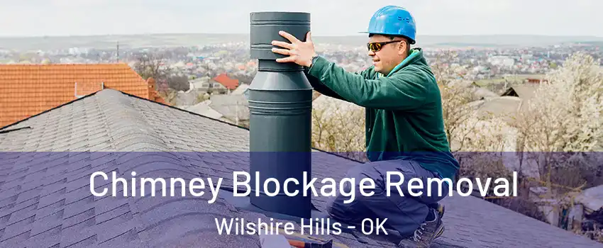 Chimney Blockage Removal Wilshire Hills - OK