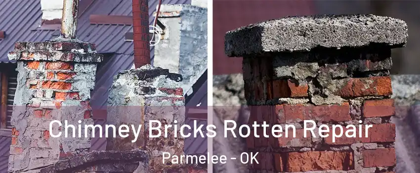 Chimney Bricks Rotten Repair Parmelee - OK