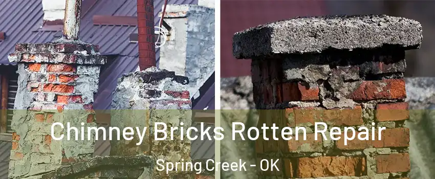 Chimney Bricks Rotten Repair Spring Creek - OK