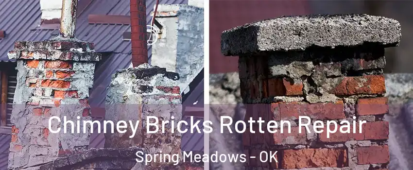 Chimney Bricks Rotten Repair Spring Meadows - OK