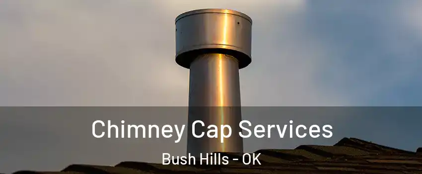 Chimney Cap Services Bush Hills - OK