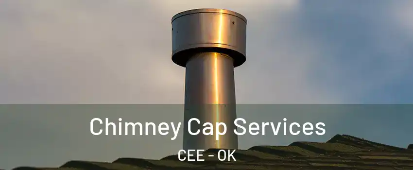 Chimney Cap Services CEE - OK
