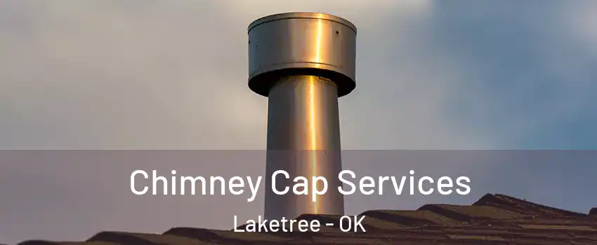 Chimney Cap Services Laketree - OK