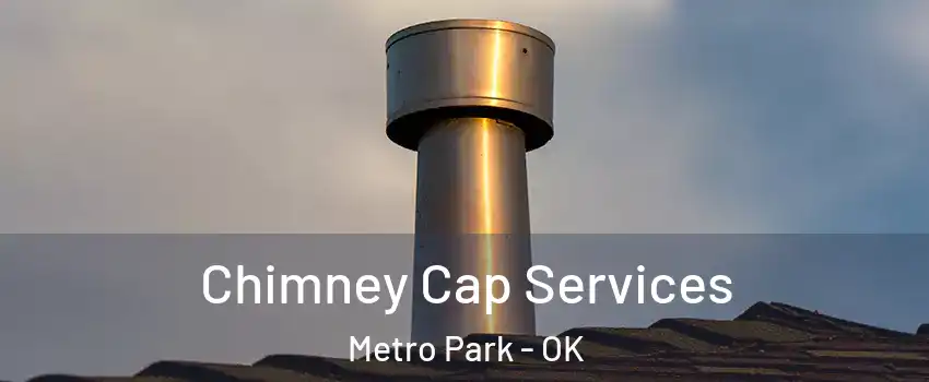 Chimney Cap Services Metro Park - OK