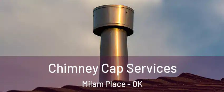 Chimney Cap Services Milam Place - OK
