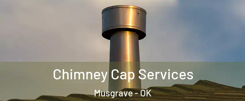 Chimney Cap Services Musgrave - OK