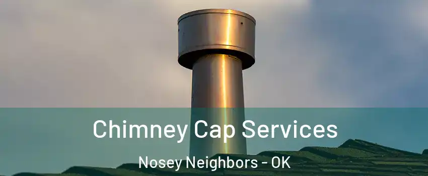 Chimney Cap Services Nosey Neighbors - OK