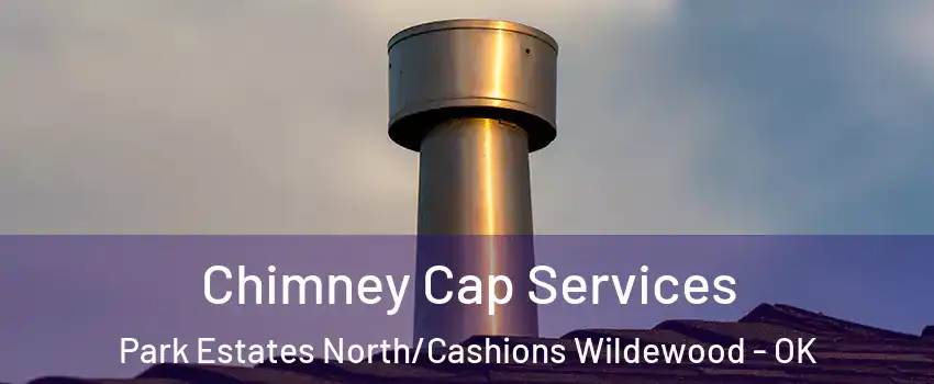 Chimney Cap Services Park Estates North/Cashions Wildewood - OK