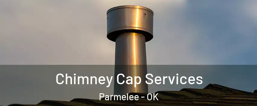 Chimney Cap Services Parmelee - OK