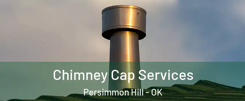 Chimney Cap Services Persimmon Hill - OK