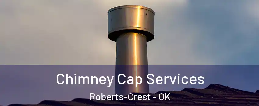 Chimney Cap Services Roberts-Crest - OK