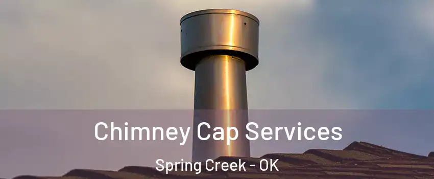 Chimney Cap Services Spring Creek - OK