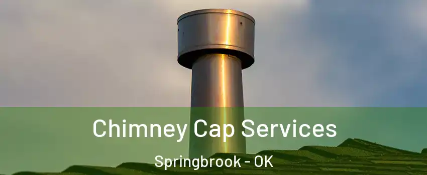 Chimney Cap Services Springbrook - OK