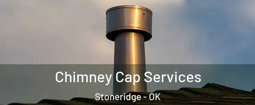 Chimney Cap Services Stoneridge - OK