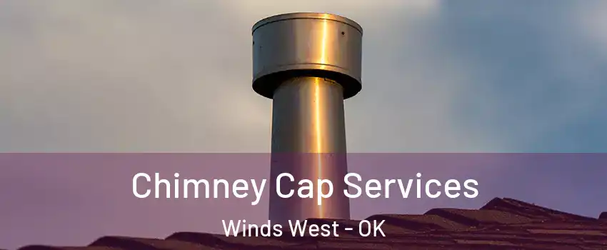 Chimney Cap Services Winds West - OK