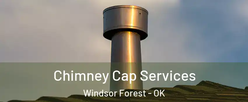 Chimney Cap Services Windsor Forest - OK