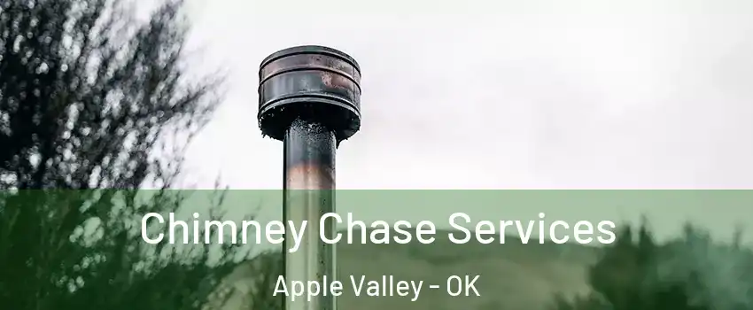 Chimney Chase Services Apple Valley - OK