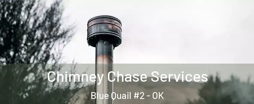 Chimney Chase Services Blue Quail #2 - OK