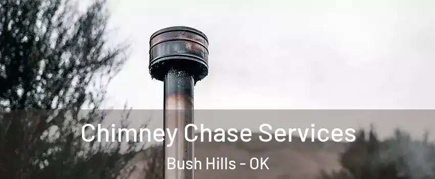 Chimney Chase Services Bush Hills - OK