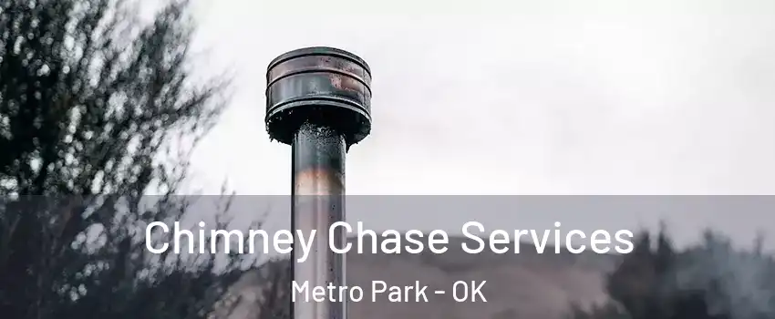 Chimney Chase Services Metro Park - OK